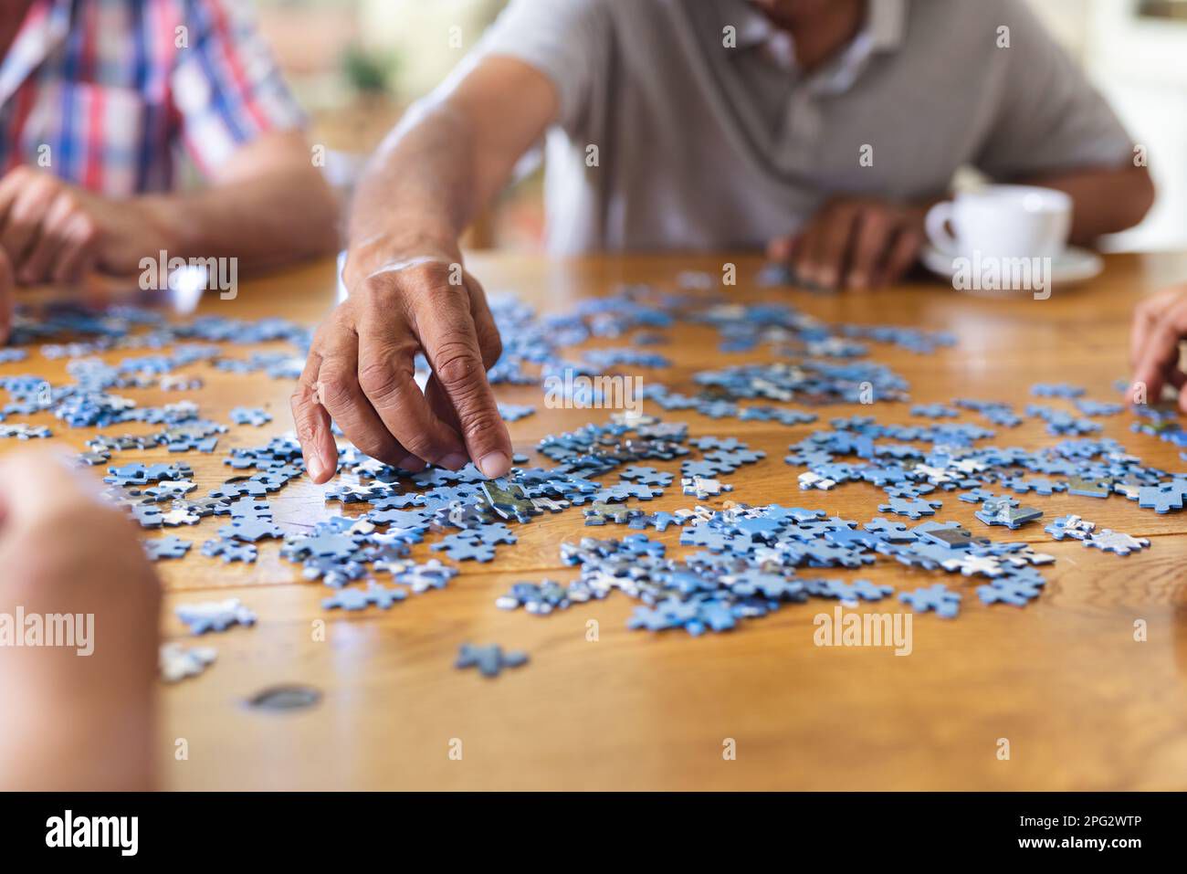Jigsaw Puzzles For Seniors